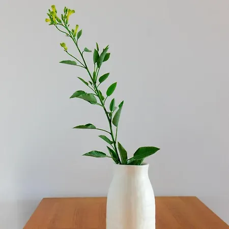 Poolvilla With Oceanview