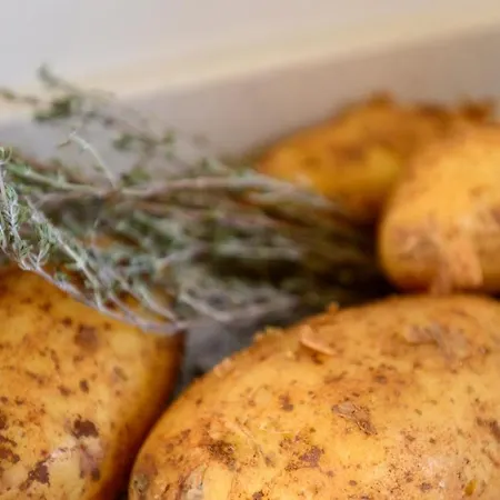 Poolvilla With Oceanview Villa