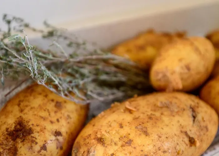 Poolvilla With Oceanview Villa